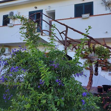 Cuili Issi Casa Eroma Bed & Breakfast エクステリア 写真