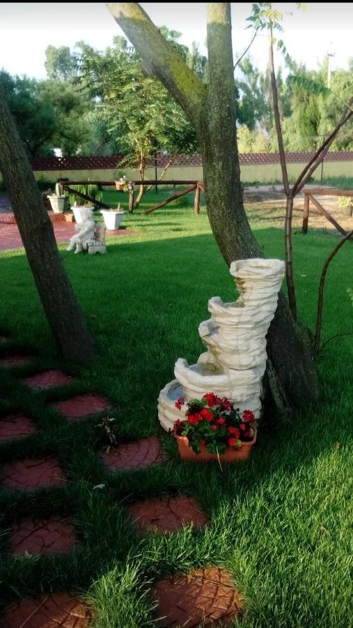 Cuili Issi Casa Eroma Bed & Breakfast エクステリア 写真