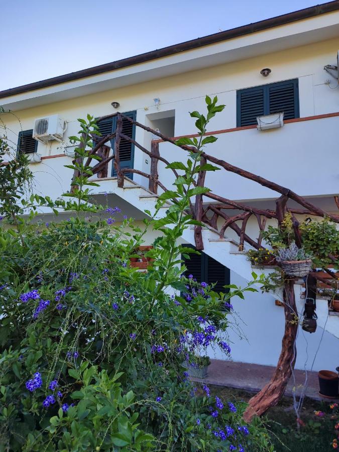 Cuili Issi Casa Eroma Bed & Breakfast エクステリア 写真